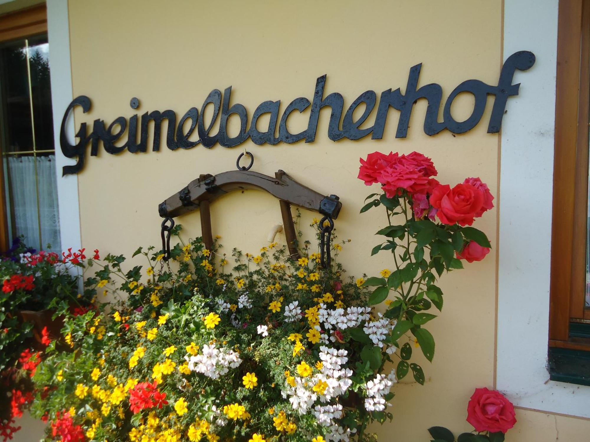 Pension-Greimelbacherhof Ramsau am Dachstein Esterno foto