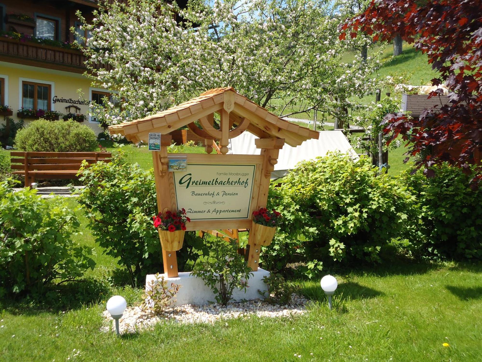 Pension-Greimelbacherhof Ramsau am Dachstein Esterno foto
