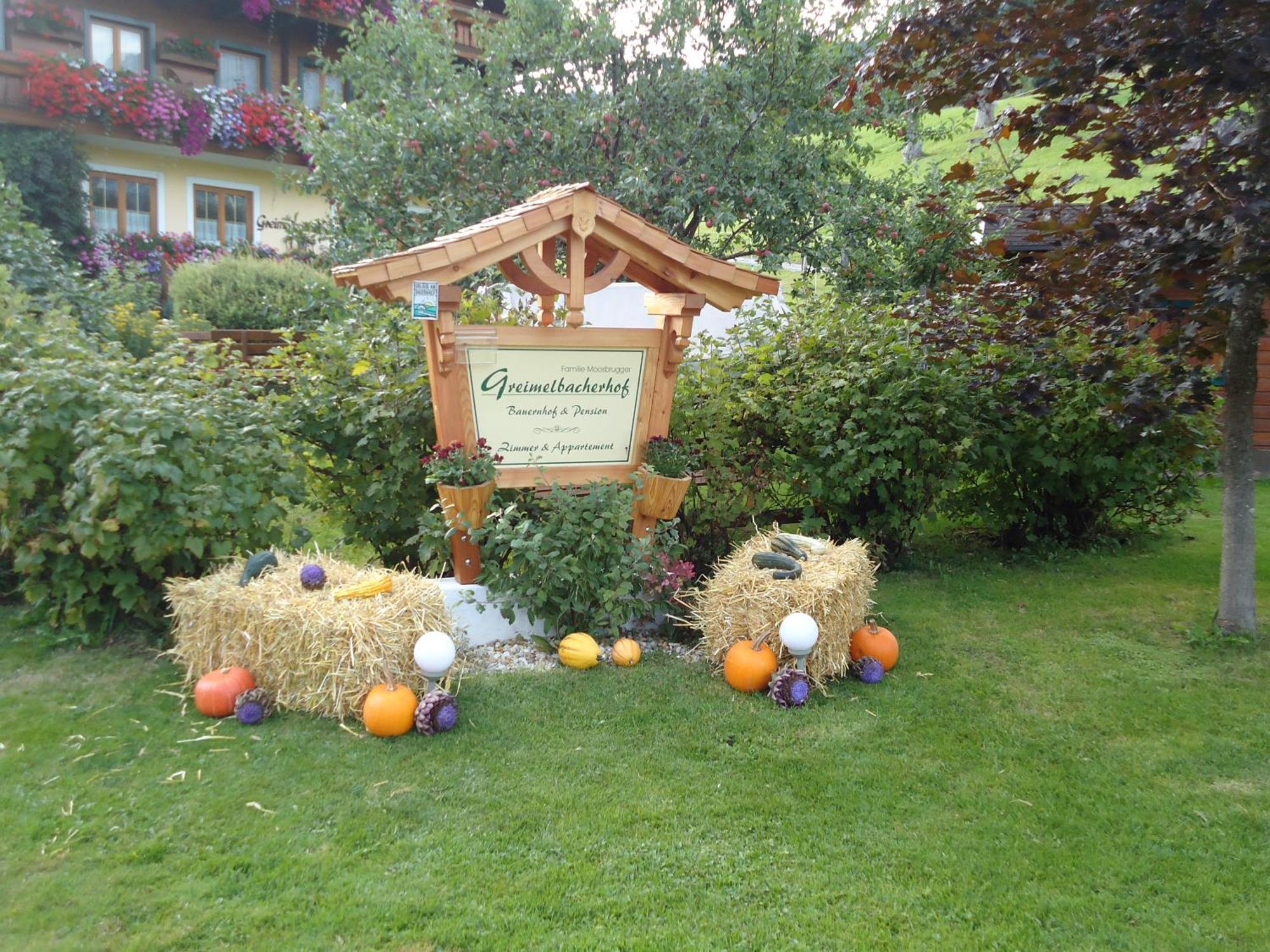 Pension-Greimelbacherhof Ramsau am Dachstein Esterno foto