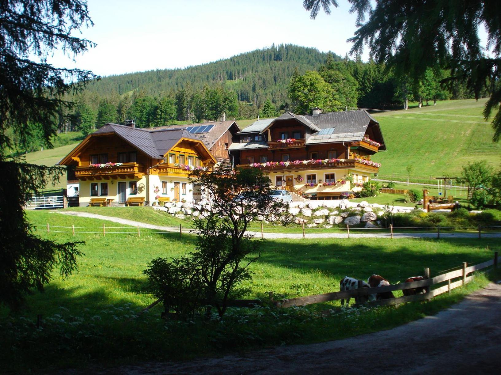 Pension-Greimelbacherhof Ramsau am Dachstein Esterno foto