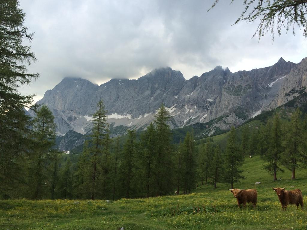 Pension-Greimelbacherhof Ramsau am Dachstein Esterno foto
