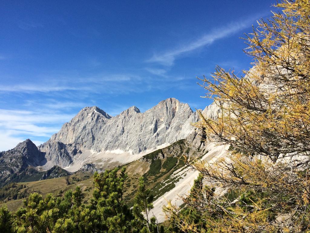 Pension-Greimelbacherhof Ramsau am Dachstein Esterno foto