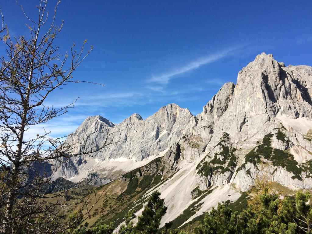 Pension-Greimelbacherhof Ramsau am Dachstein Esterno foto