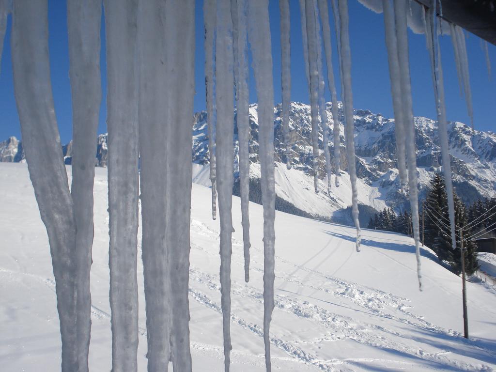 Pension-Greimelbacherhof Ramsau am Dachstein Esterno foto