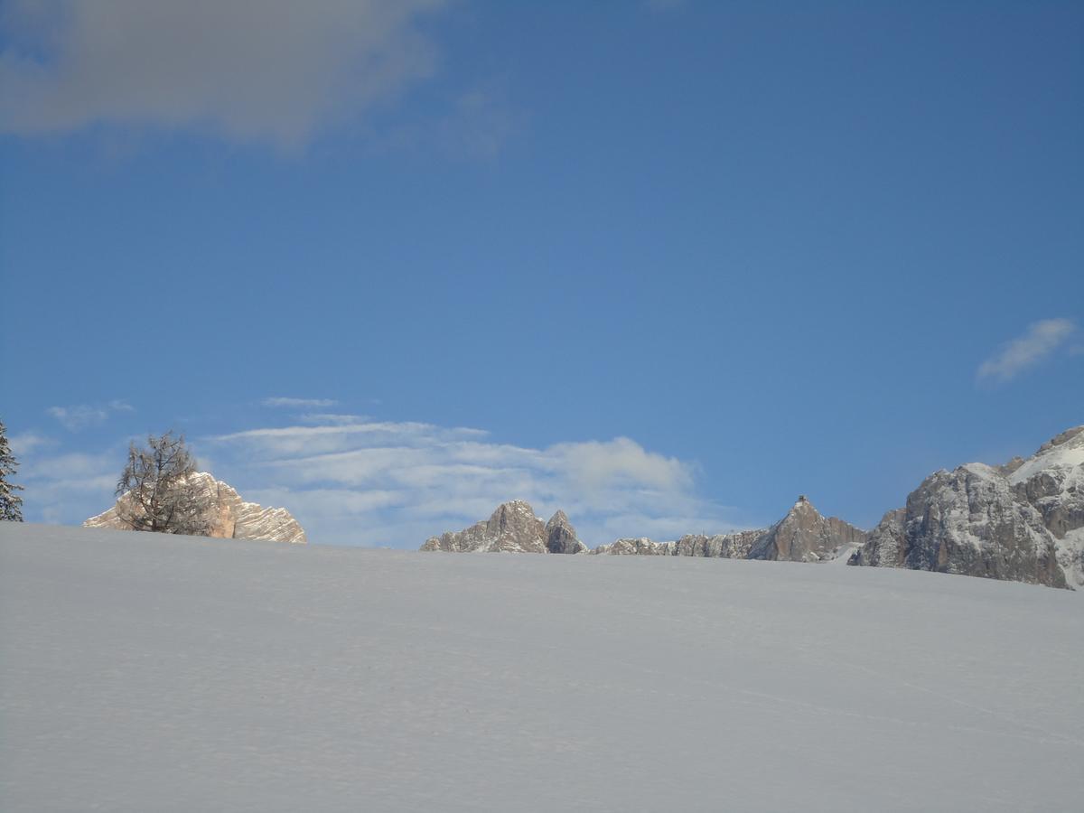 Pension-Greimelbacherhof Ramsau am Dachstein Esterno foto