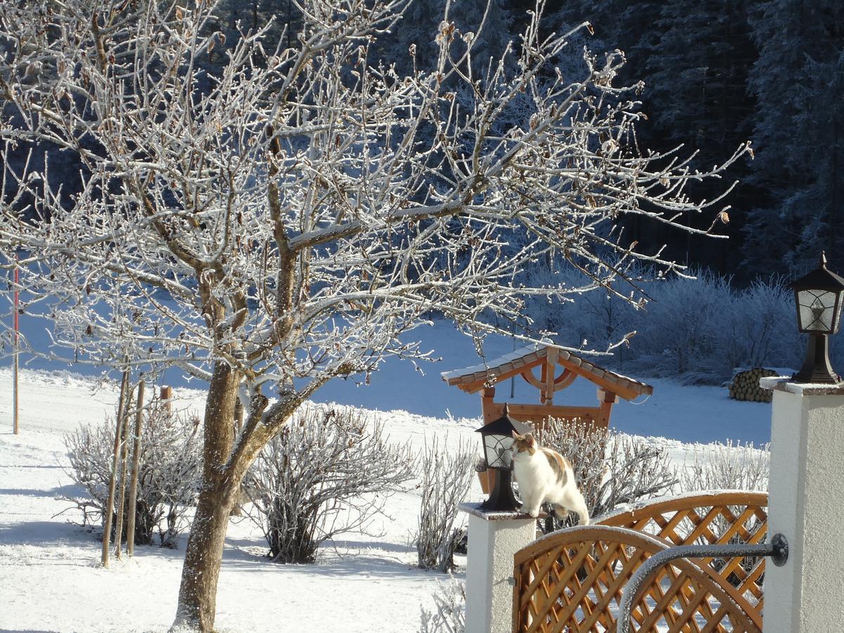 Pension-Greimelbacherhof Ramsau am Dachstein Esterno foto