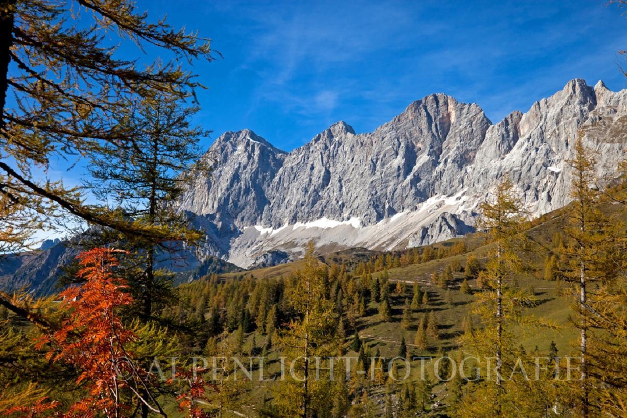 Pension-Greimelbacherhof Ramsau am Dachstein Esterno foto