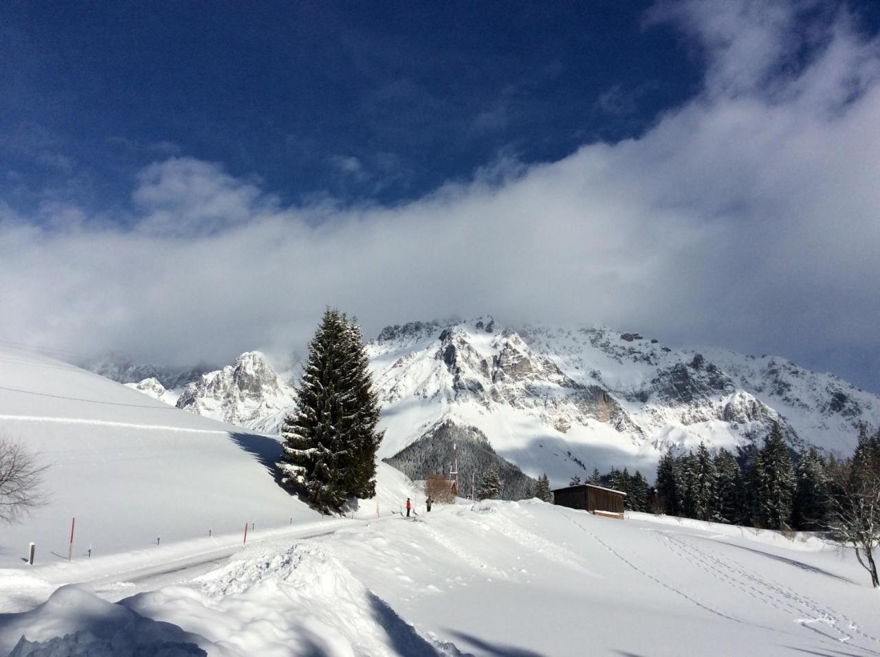 Pension-Greimelbacherhof Ramsau am Dachstein Esterno foto