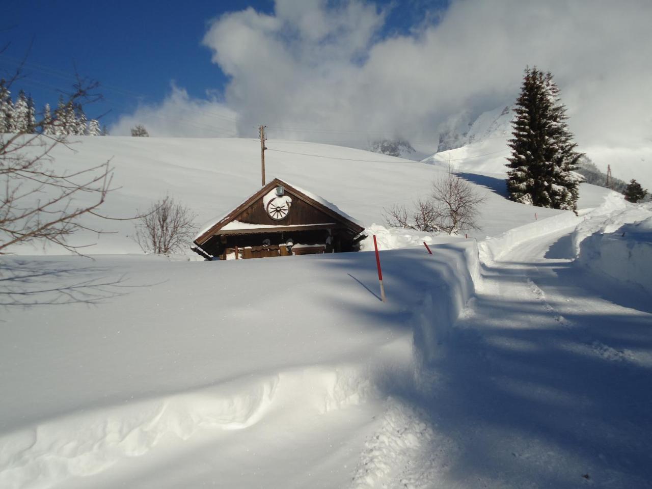 Pension-Greimelbacherhof Ramsau am Dachstein Esterno foto