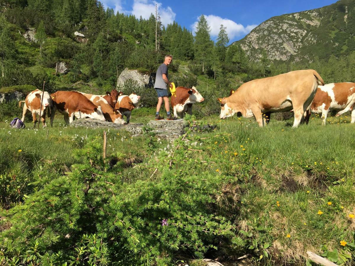 Pension-Greimelbacherhof Ramsau am Dachstein Esterno foto